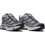 Picture of Salomon | Xt-6 Grisaille