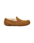 Picture of Ugg | M Ascot