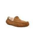 Picture of Ugg | M Ascot
