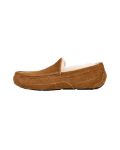 Picture of Ugg | M Ascot