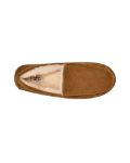 Picture of Ugg | M Ascot