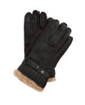Immagine di Barbour | Leather Utility Gloves