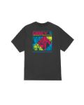 Picture of Obey | Obey High Quality Amplification Tee