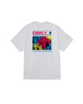 Picture of Obey | Obey High Quality Amplification Tee