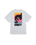 Picture of Obey | Obey Quarter Icon Tee