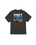 Picture of Obey | Obey In A Different Place Tee