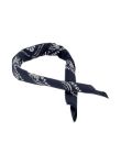 Picture of Fortela | Bandana