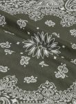 Picture of Fortela | Bandana