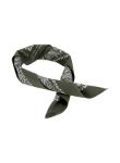 Picture of Fortela | Bandana