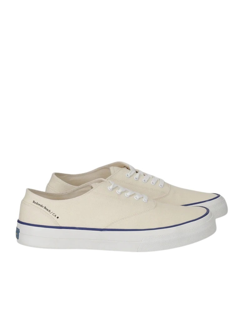 Picture of Mr.Fliks | Redondo